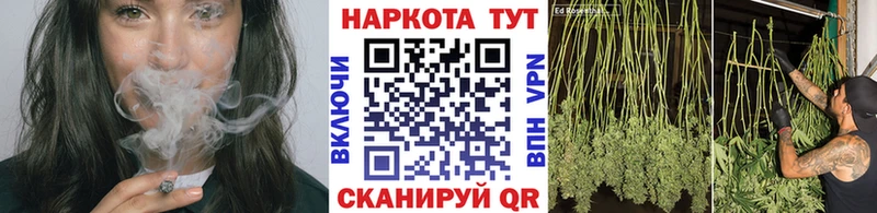 Виды наркотиков купить Чадан БУТИРАТ  Альфа ПВП  МЕФ  Марихуана  Гашиш 