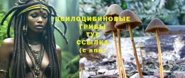 а пвп мука Магадан